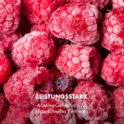 Garfield Eco Mini-Gefrierschrank 17 Garfield Eco Mini-Gefrierschrank -Haushaltsgerätegeschäft 10032853 de 0006 logo