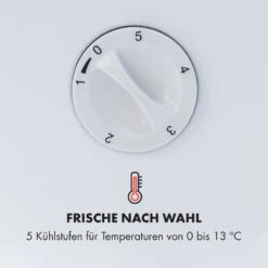 Beersafe L Crystal White Getränkekühlschrank Mit Glastür 47 Liter 15 Beersafe L Crystal White Getränkekühlschrank Mit Glastür 47 Liter -Haushaltsgerätegeschäft 10033121 de 0005 logo