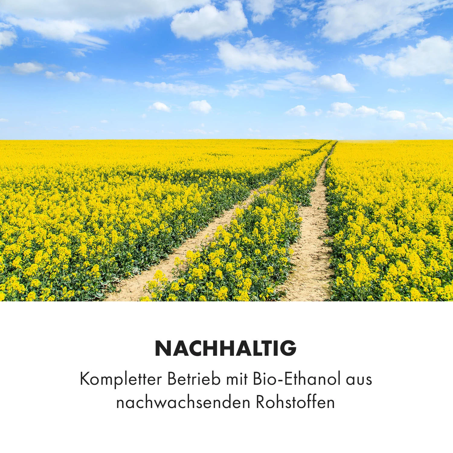 Phantasma Niro Ethanol-Kamin 9 Phantasma Niro Ethanol-Kamin – Bild 7