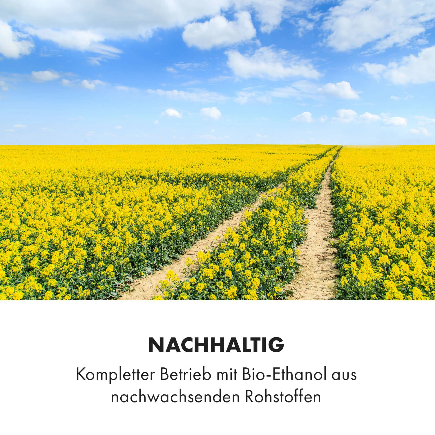 Phantasma Skyfire Ethanol-Kamin 9 Phantasma Skyfire Ethanol-Kamin – Bild 7