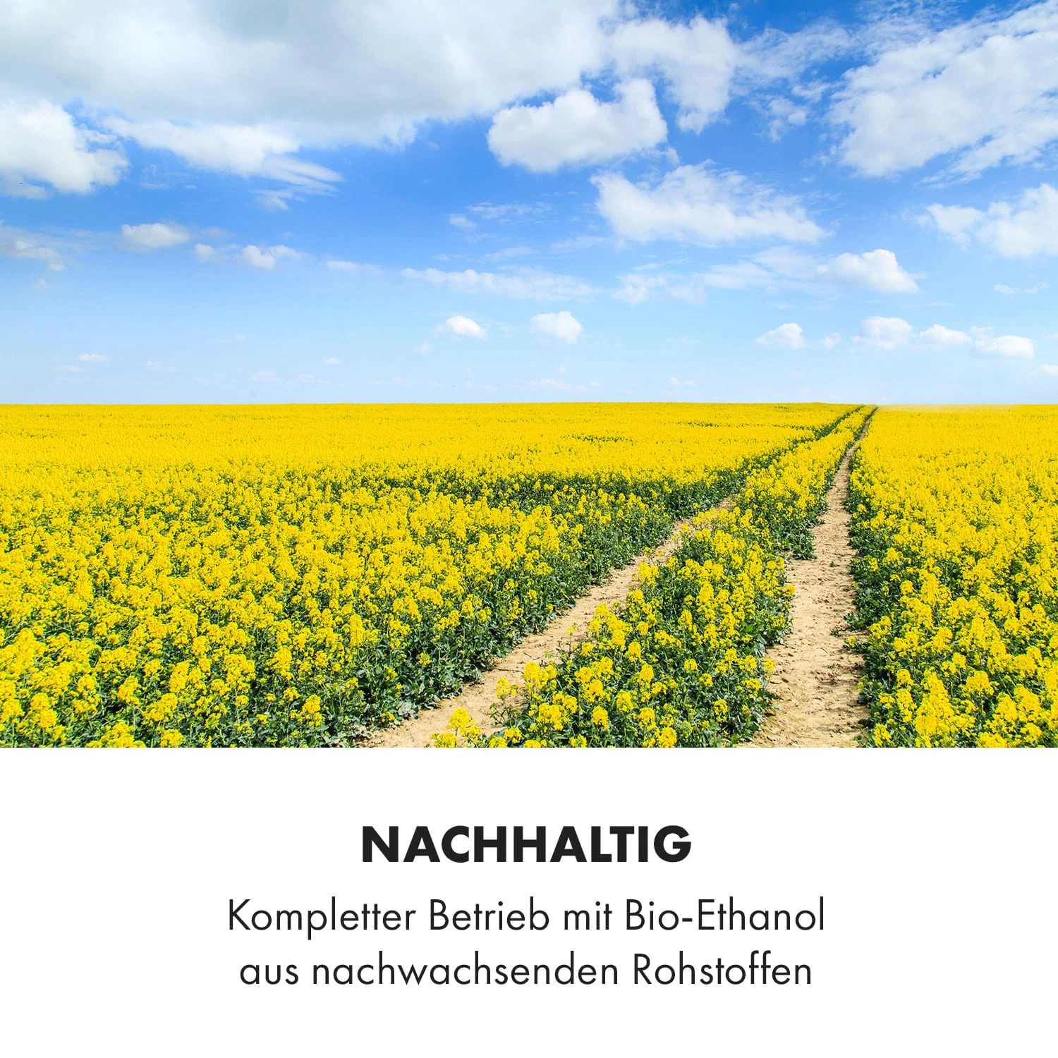 Phantasma Manor Ethanol-Kamin 7 Phantasma Manor Ethanol-Kamin – Bild 5