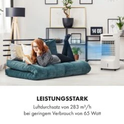 [Gebraucht] Iceberg Breeze 2-in-1 Luftkühler -Haushaltsgerätegeschäft 10035854 de 0005 logo
