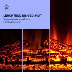 Beerenberg Elektrokamin -Haushaltsgerätegeschäft 10038398 de 0005 logo