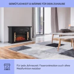 [Gebraucht] Saint Helens Elektrokamin -Haushaltsgerätegeschäft 10038616 de 0004 usp