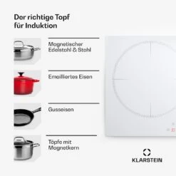 [Gebraucht] Delicatessa 80 Induktionskochfeld -Haushaltsgerätegeschäft 10045608 de 0006 usp 1