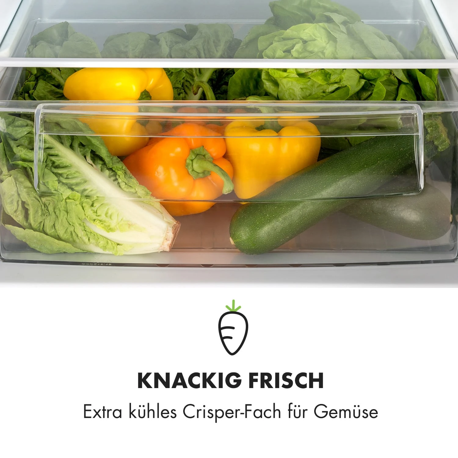 Miro XL Kühl-Gefrierkombination 7 Miro XL Kühl-Gefrierkombination – Bild 5