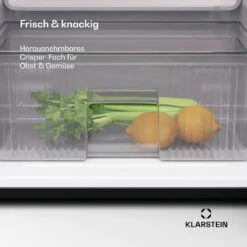 Big Daddy Cool Kühl-Gefrierkombination 16 Big Daddy Cool Kühl-Gefrierkombination -Haushaltsgerätegeschäft 10045851 de 0006 usp