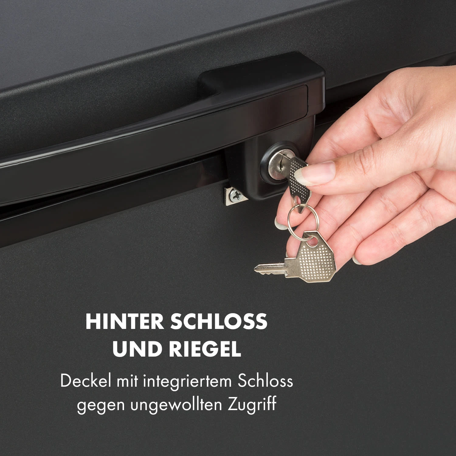 Iceblokk 80 Gefriertruhe 10 Iceblokk 80 Gefriertruhe – Bild 8