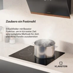 Delicatessa Paella Induktionskochfeld | Paella-Zone | 60 Cm | Boost -Haushaltsgerätegeschäft 10046693 de 0002 usp